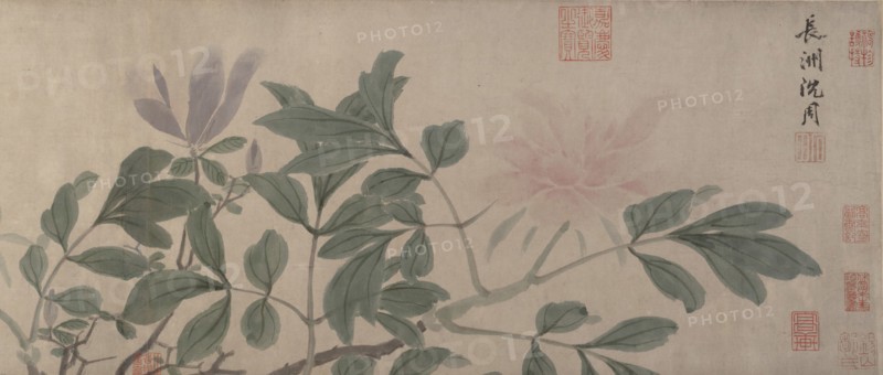 Flowers of the Four Seasons. Creator: Shen Zhou.