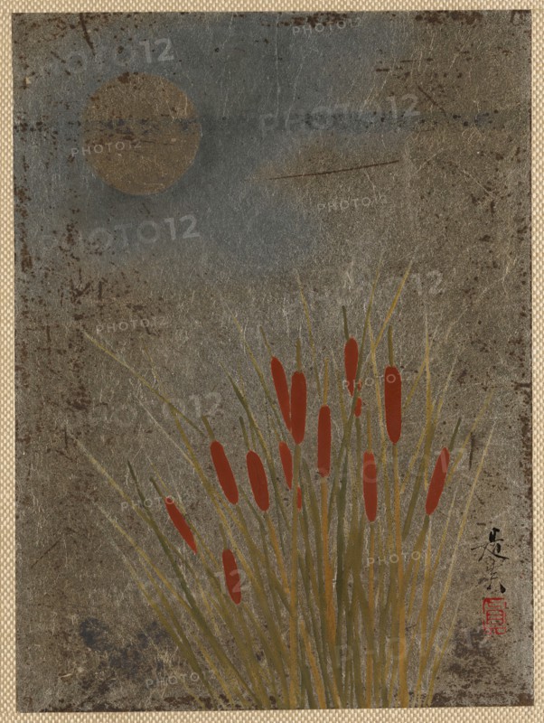 Cat Tails and Moon, mid-late 19th century. Creator: Shibata Zeshin.