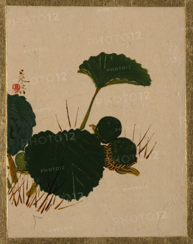Worm on Green Leaved Plant. Creator: Shibata Zeshin.