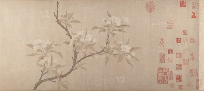 Pear Blossoms, ca. 1280. Creator: Unknown.