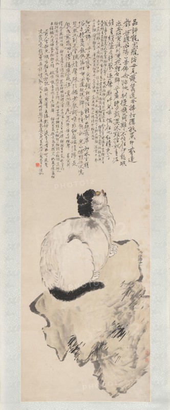 Cat. Creator: Wang Li.