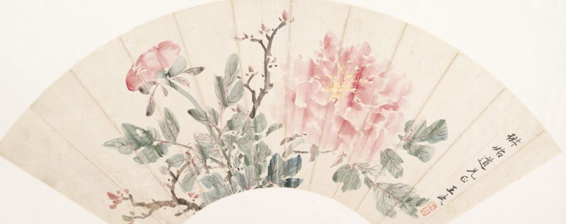 Peony. Creator: Wang Wu.