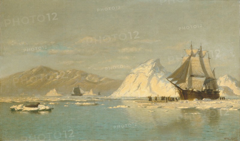 Off Greenland?Whaler Seeking Open Water. Creator: William Bradford.