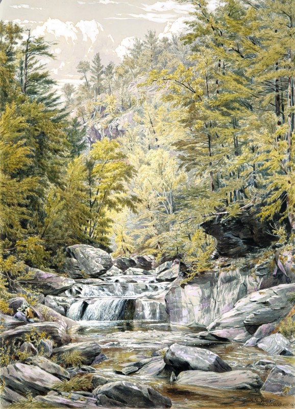 Catskill Clove, 1856. Creator: William Rickarby Miller.