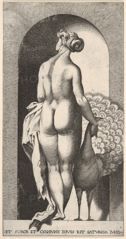 Plate 4: Juno standing in a niche, viewed from behind, stroking a peacock to her right, fr..., 1526. Creator: Giovanni Jacopo Caraglio.
