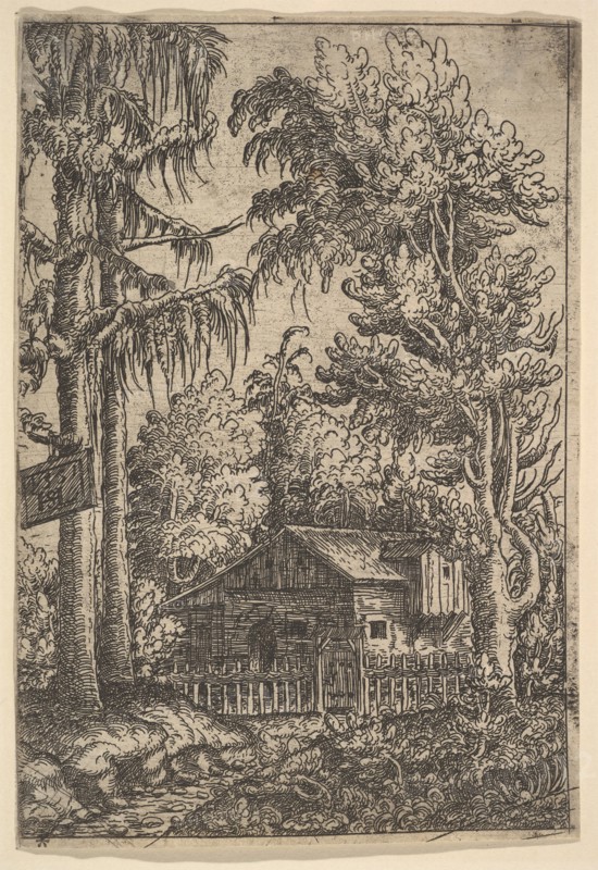 Cabin Among Trees, 1551. Creator: Hans Sebald Lautensack.