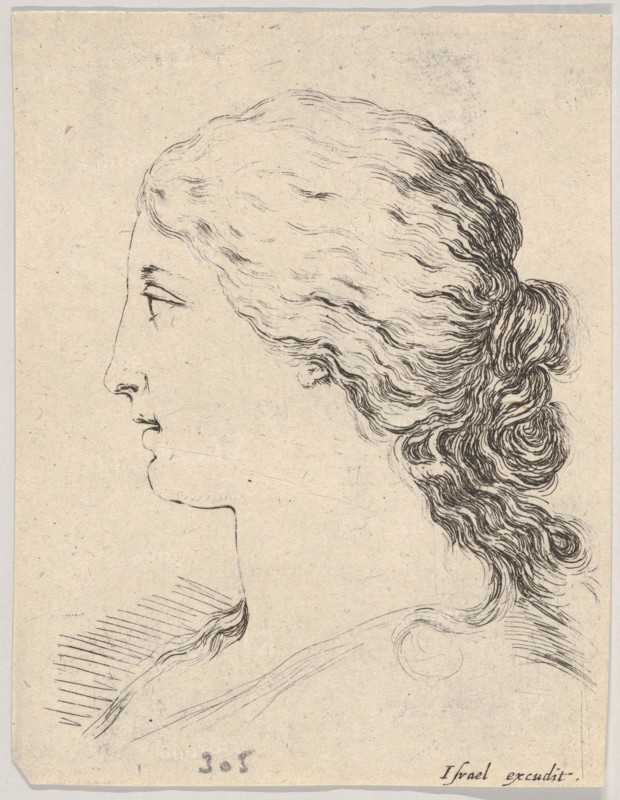 Plate 14: head of a woman, in profile, from 'The Book for Learning to Draw'