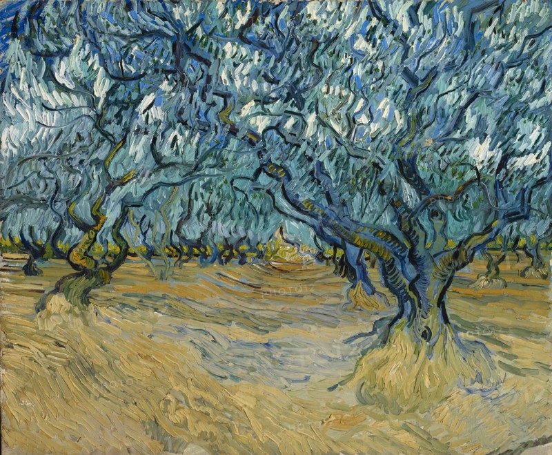The Olive grove, Saint-Rémy, 1889. Creator: Gogh, Vincent, van