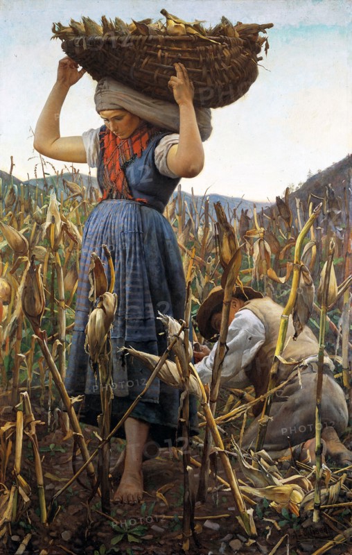 La raccolta del granoturco