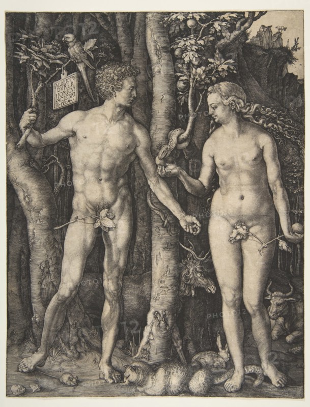 Adam and Eve, 1504. Creator: Albrecht Durer.