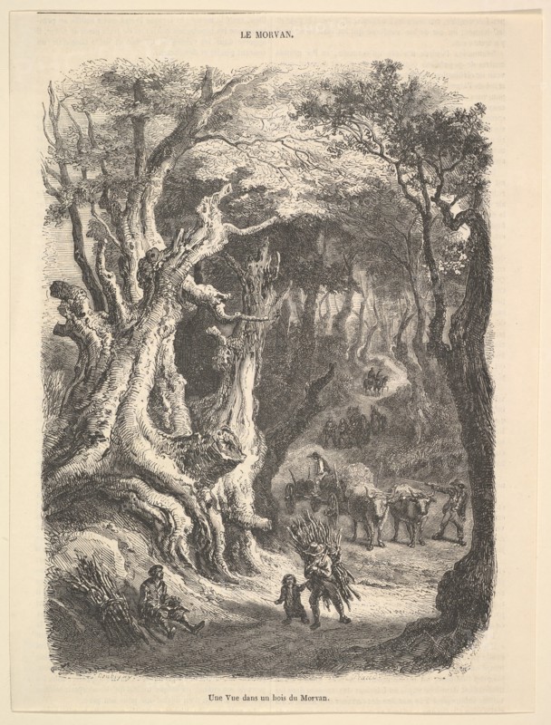 A View in the Forest of Morvan, 1837-66. Creator: Jean-Antoine Watteau.