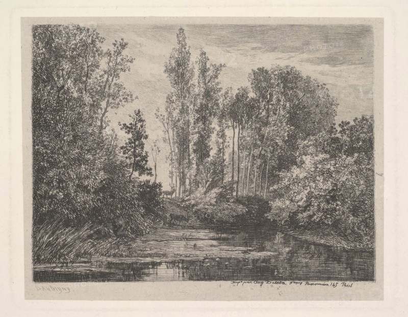 Stags at the Water's Edge, 1850. Creator: Charles Francois Daubigny.