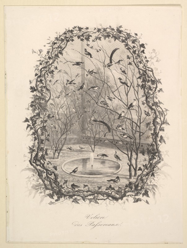 The Sparrow Aviary, 1843. Creator: Charles Francois Daubigny.