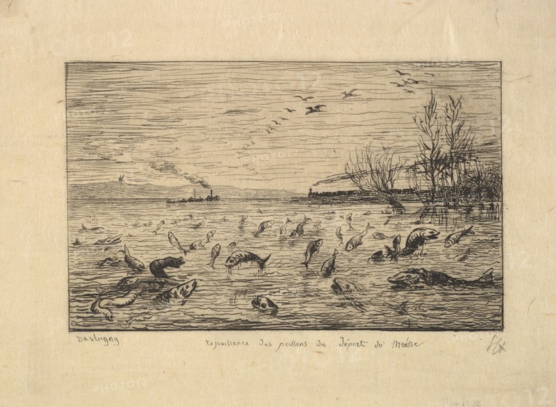 The Fish Rejoice in the Departure of the Cabin Boy, 1861. Creator: Charles Francois Daubigny.