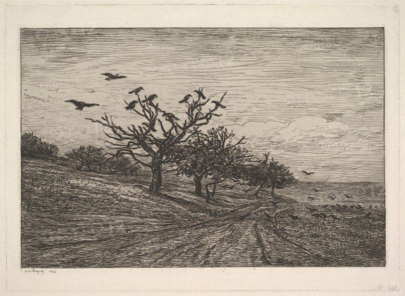Tree Filled with Crows, 1867. Creator: Charles Francois Daubigny.