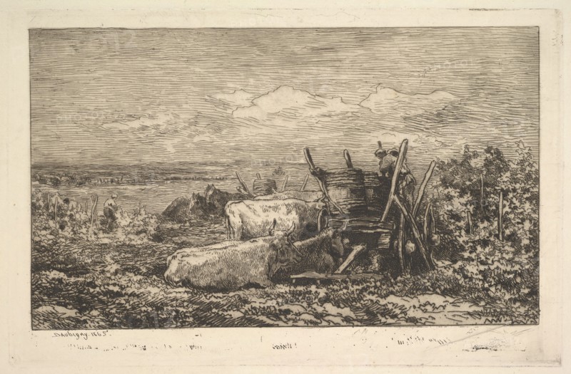 The Harvest