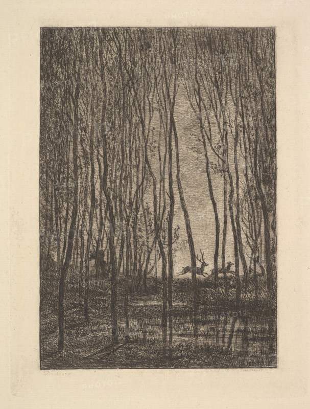 Deer in the Woods, 1850. Creator: Charles Francois Daubigny.