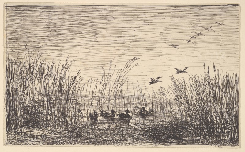 Ducks in the Marshes, [1862], reprinted 1921. Creator: Charles Francois Daubigny.