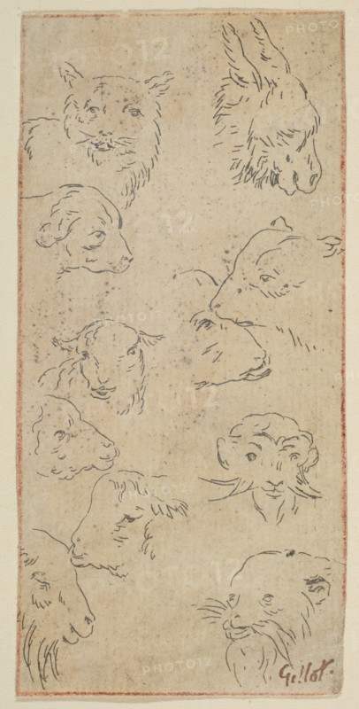 Study of animal heads.n.d. Creator: Claude Gillot.