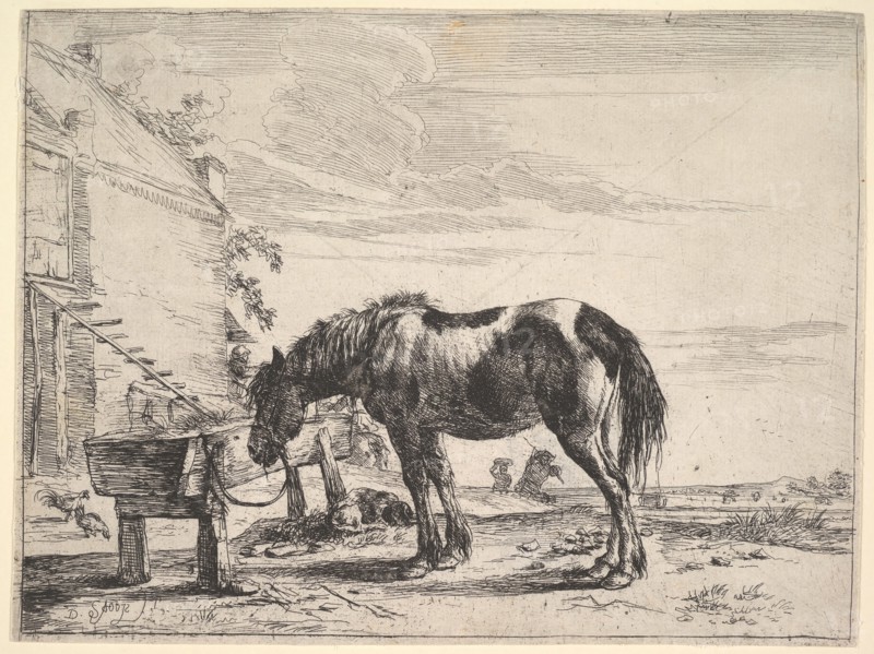 Horse Bound to a Feeding Trough. Creator: Dirck Stoop.
