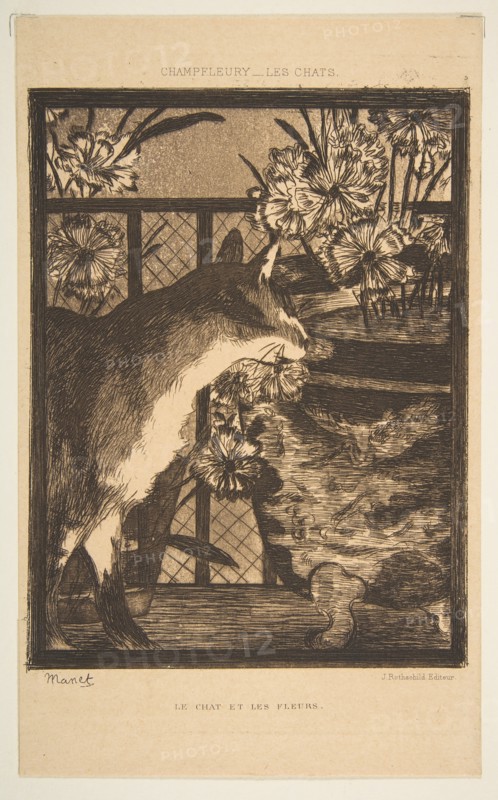 Cat and Flowers. Illustration to The Cats by Champfleury, 1869. Creator: Edouard Manet.