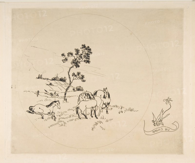 Decoration for a Plate: A Field, 1870. Creator: Felix Bracquemond.