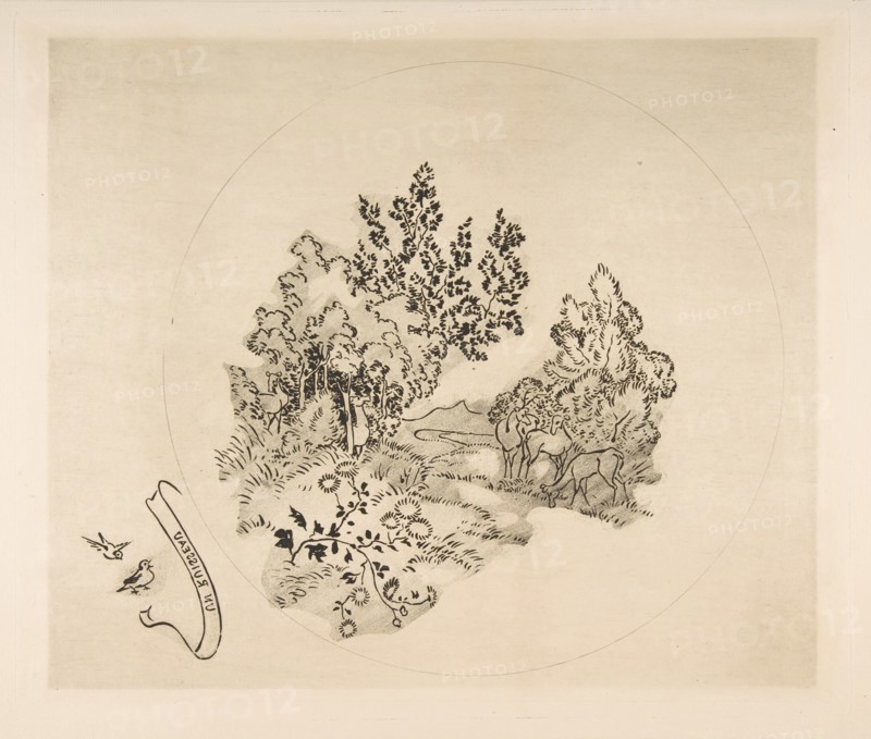 Decoration for a Plate: A Stream, 1870. Creator: Felix Bracquemond.