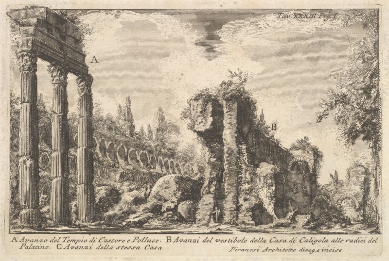 Remains of the Temple of Castor and Pollux . . .
