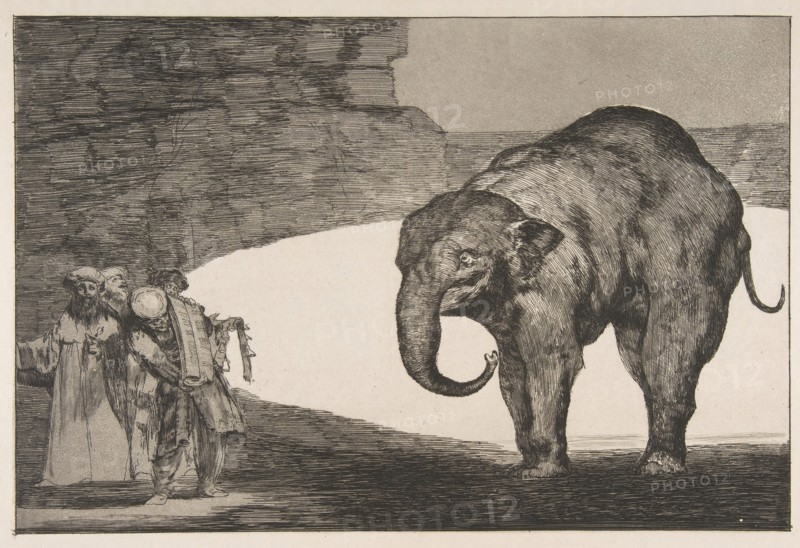 Plate C from the 'Disparates': Animal Folly, ca. 1816-23