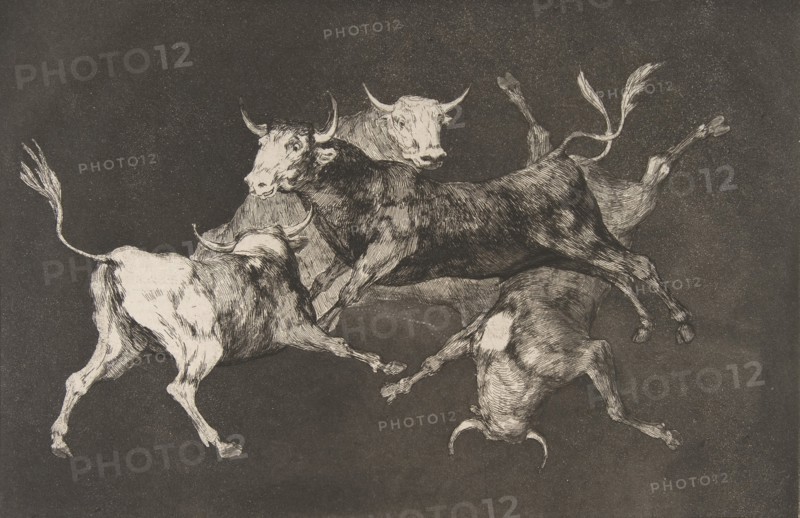Plate D from the 'Disparates': Fools-'or Little Bulls' - fo..., ca. 1816-23