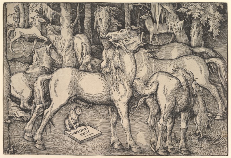 Group of Seven Horses, 1534. Creator: Hans Baldung.