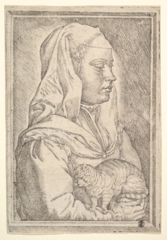 Girl with a Cat, 1546. Creator: Jan Cornelisz Vermeyen.