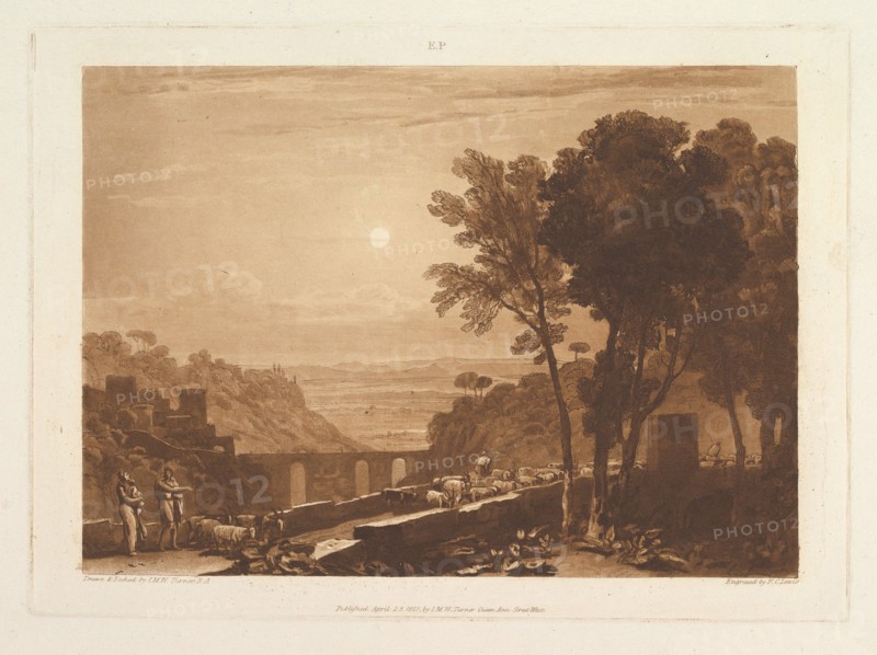 The Bridge and Goats
