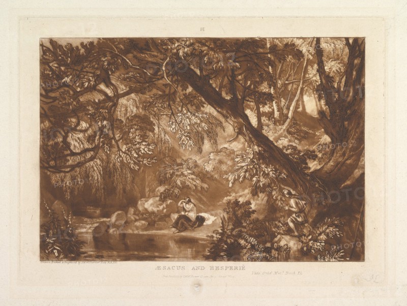 Aesacus and Hesperie, Vide Ovid Metamorphosis, Book XI