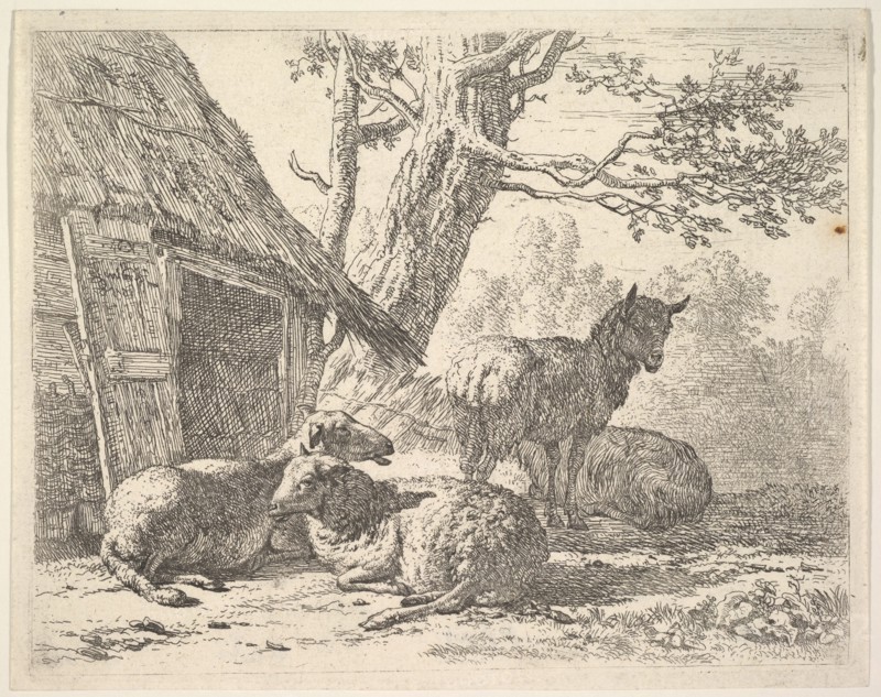 Four sheep, one sheep stands among three others lying on the ground next to a shed with th..., 1658. Creator: Karel Du Jardin.