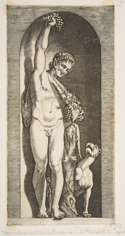A faun standing in a niche holding aloft a bunch of grapes with his right hand and ..., ca. 1515-27. Creator: Marco Dente.