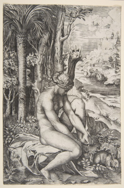 Venus removing a thorn from her left foot while seated on a cloth next to trees, a ..., ca. 1515-27. Creator: Marco Dente.