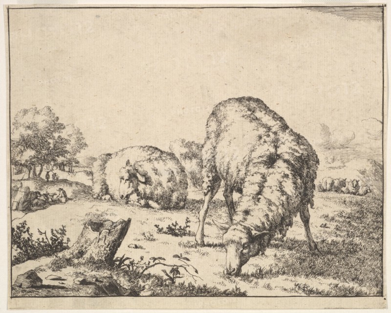Sheep, from a set of 16 plates, 1664. Creator: Marcus de Bye.