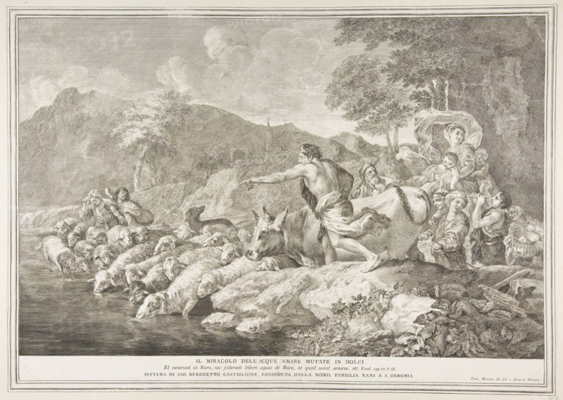 The miracle of the bitter water made sweet