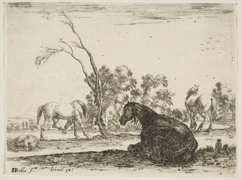 Plate 8: a seated horse to right, seen from behind and turned to the left, three other hor..., 1642. Creator: Stefano della Bella.