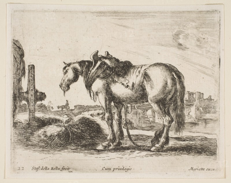 Plate 22: cart horse, from 'Various animals'