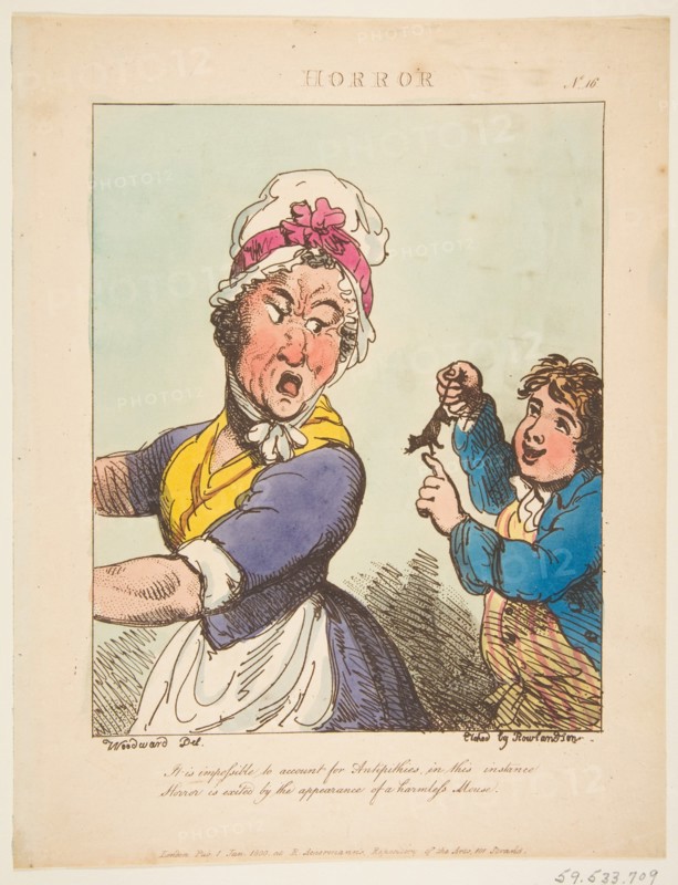 Horror, January 21, 1800. Creator: Thomas Rowlandson.