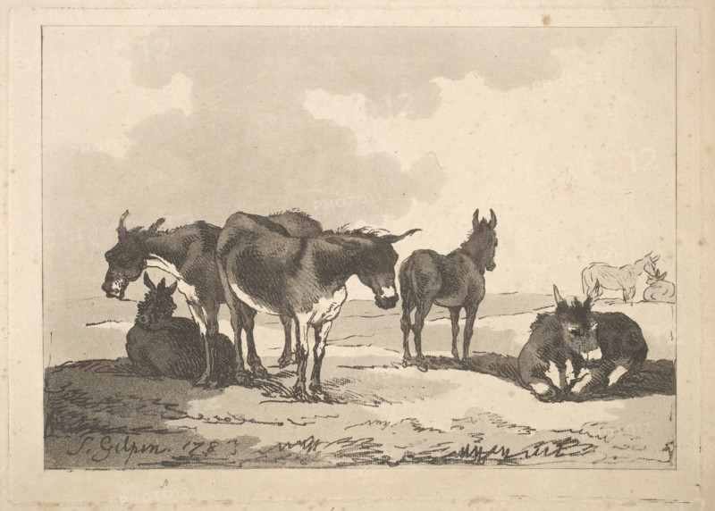 A Group of Five Donkeys, Three Standing, Two Lying, 1783-87. Creator: Thomas Rowlandson.