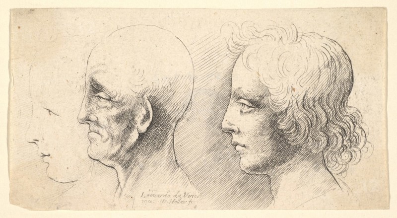 Three profile heads, one in outline only, 1625-77. Creator: Wenceslaus Hollar.