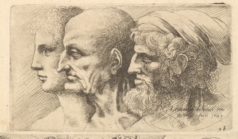 Row of three heads in profile to left, 1645. Creator: Wenceslaus Hollar.