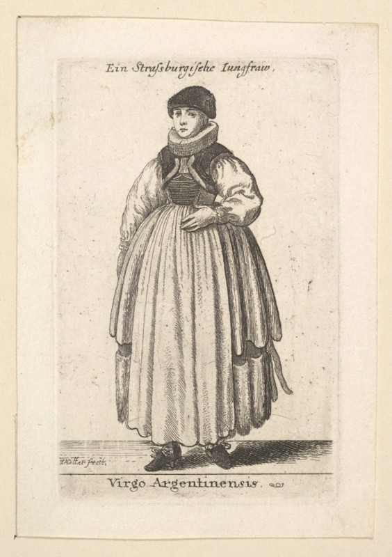 Virgo Argentinensis.