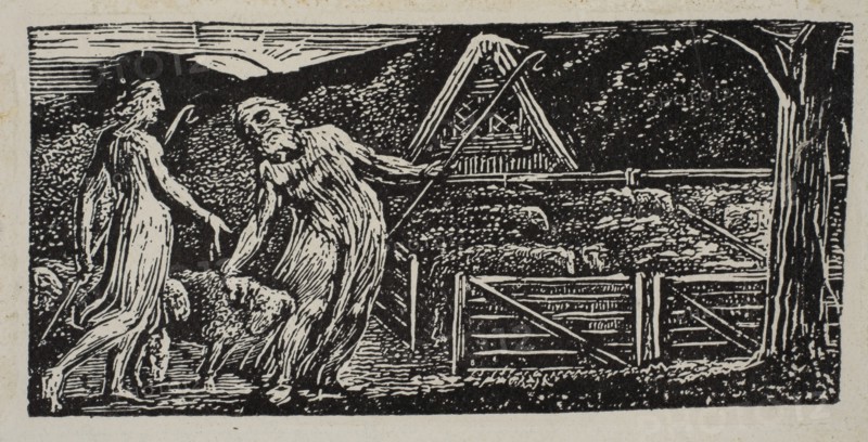 Thenot and Colinet Lead Their Flocks Together, from Thornton's Pastorals of Virgil, 1821. Creator: William Blake.