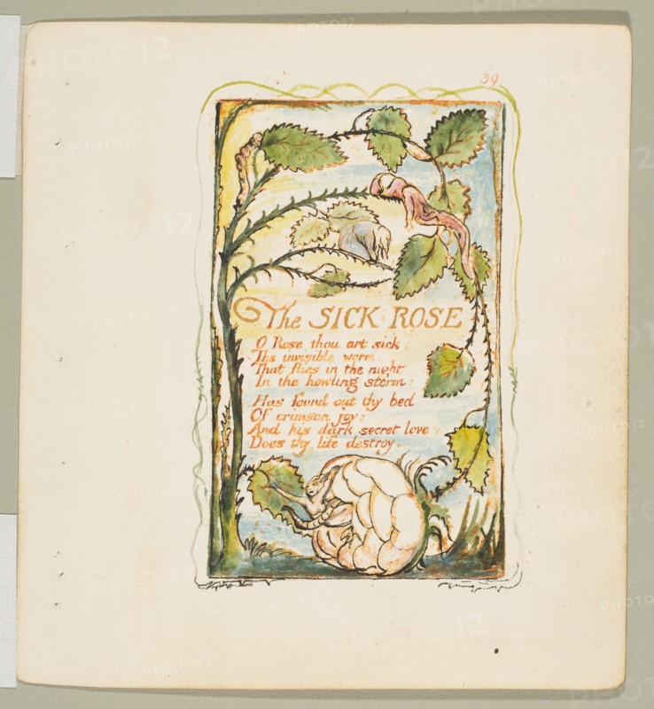 Songs of Innocence and of Experience: The Sick Rose, ca. 1825. Creator: William Blake.