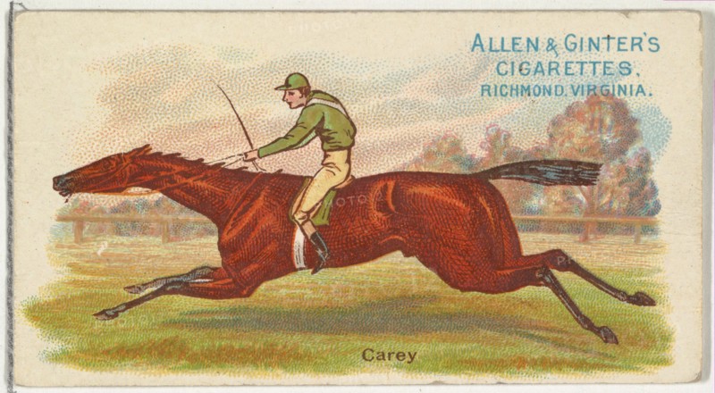 Carey, from The World's Racers series