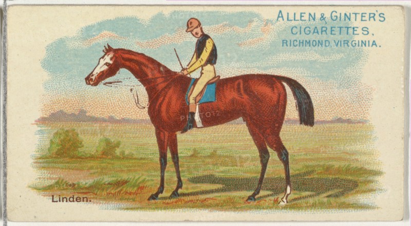 Linden, from The World's Racers series
